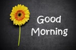 Good morning flower image
