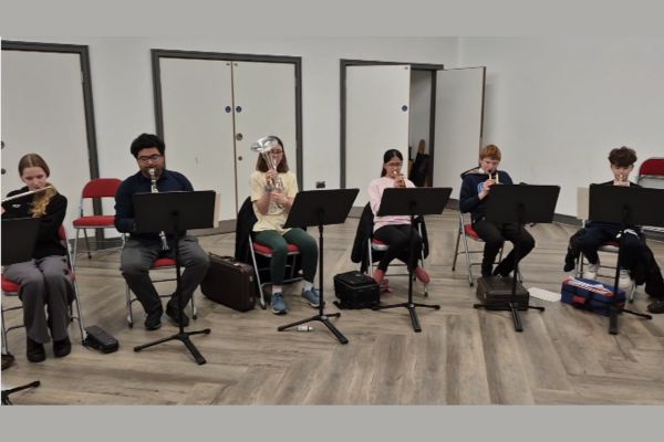 Group of young adults sitting in a line playing orchestra instruments